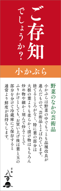 11月のおすすめ