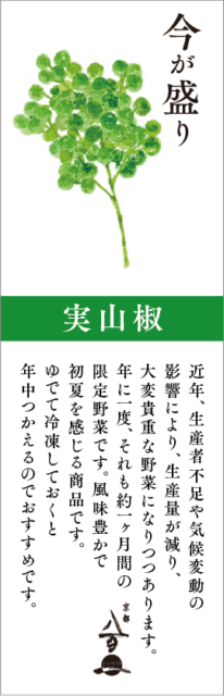 5月のおすすめ
