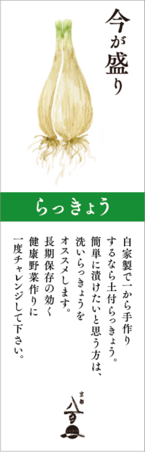 5月のおすすめ
