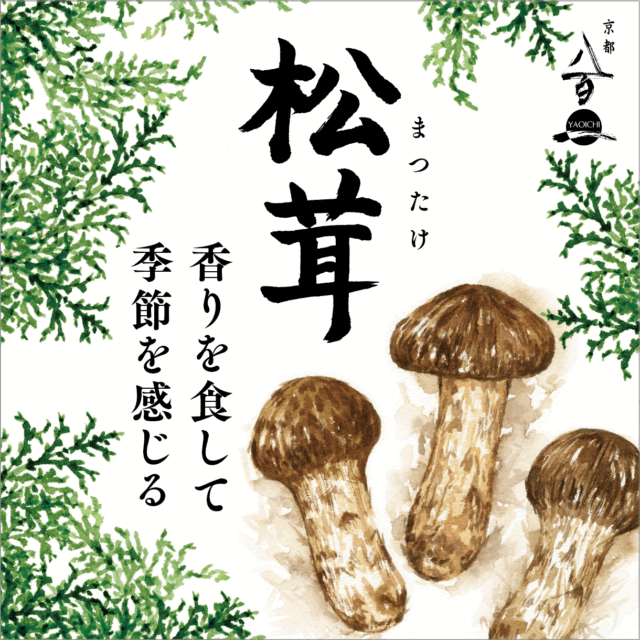 7月のおすすめ