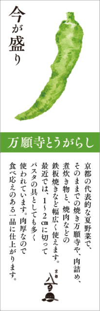 7月のおすすめ