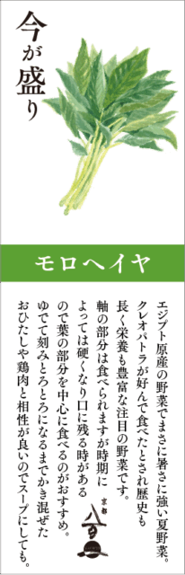 7月のおすすめ