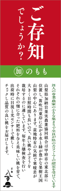 7月のおすすめ