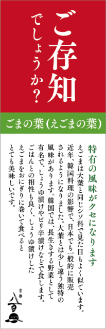 7月のおすすめ