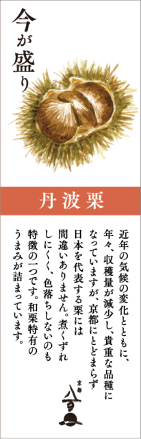 9月のおすすめ