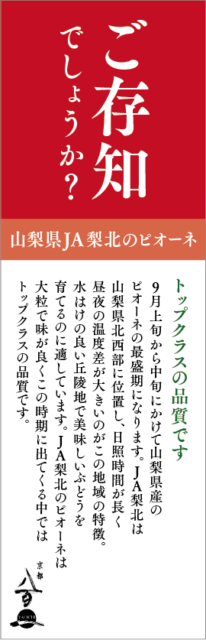 9月のおすすめ