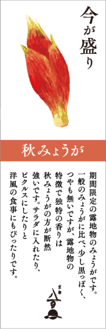 9月のおすすめ