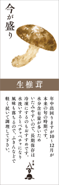 10月のおすすめ
