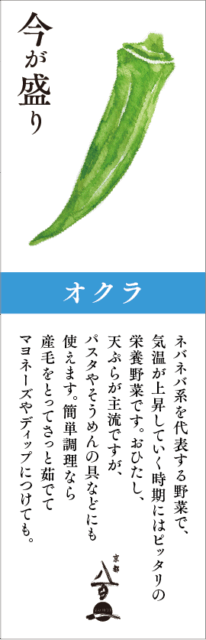 6月のおすすめ