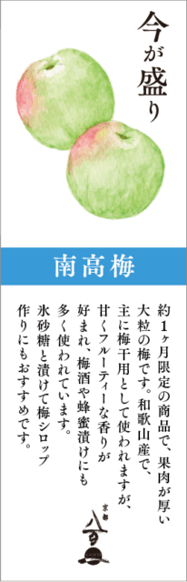6月のおすすめ