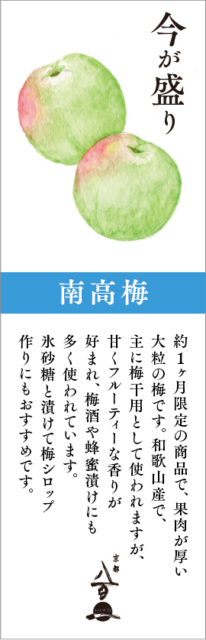 6月のおすすめ