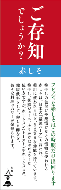 6月のおすすめ