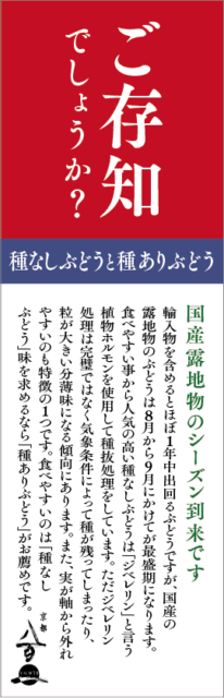 8月のおすすめ
