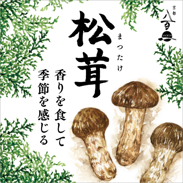 7月のおすすめ