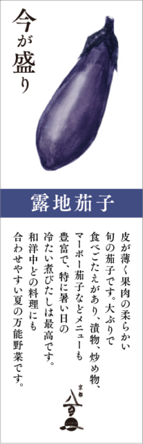 8月のおすすめ