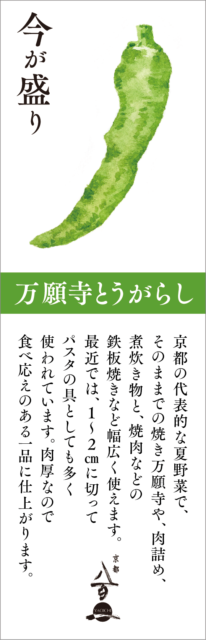 7月のおすすめ