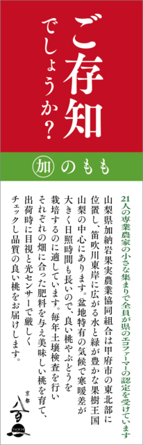 7月のおすすめ