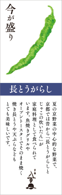 8月のおすすめ