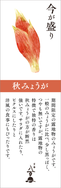 9月のおすすめ