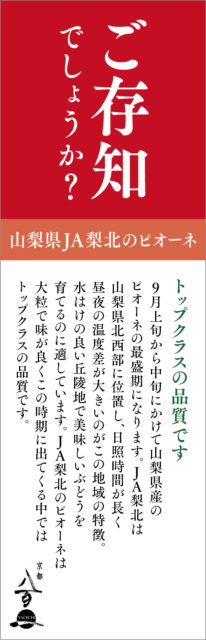 9月のおすすめ