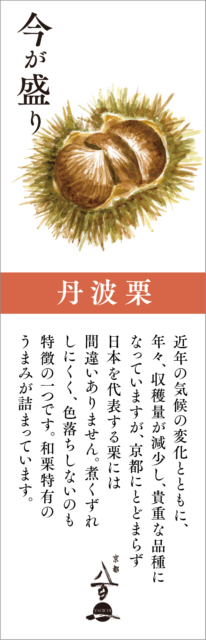 9月のおすすめ