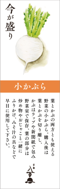 11月のおすすめ