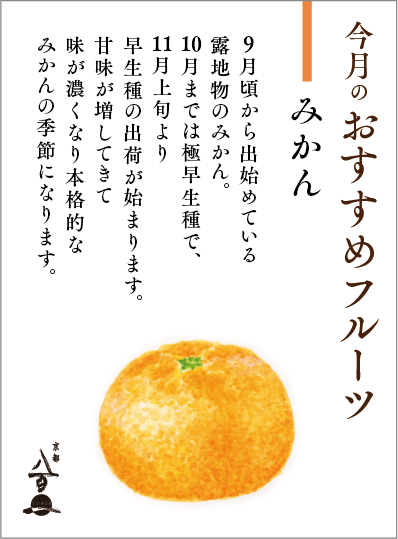 11月のおすすめ